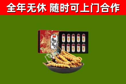 武陵回收冬虫夏草价格